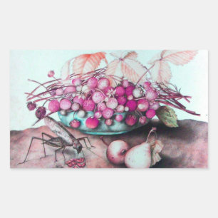 SEASON'S FRUITS / STRAWBERRIES AND PEARS RECTANGULAR STICKER