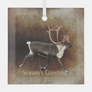 Season's Greeting - Bull Caribou (Reindeer) Glass Tree Decoration