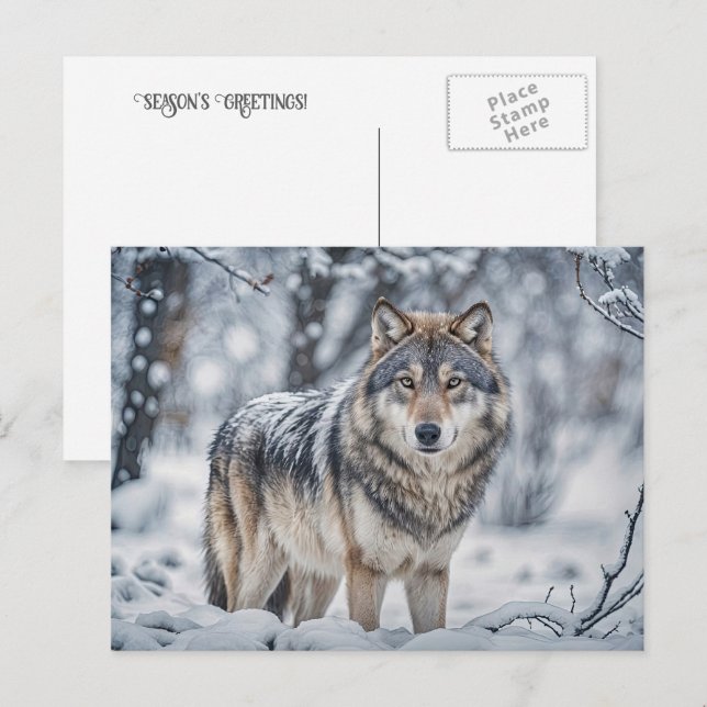 Seasons Greeting Christmas Wolf in Snow Holiday Postcard (Front/Back)