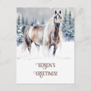 Seasons Greeting Horse in the Snow Holiday Postcard