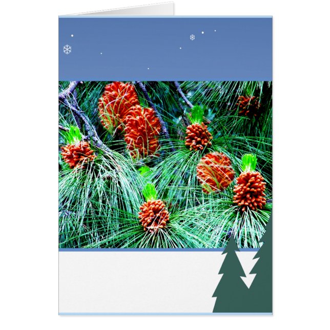 Seasons greetings_ (Front)