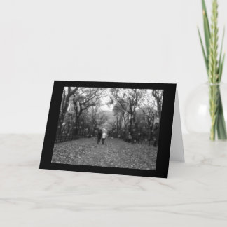 Seasons Greetings - B&W Central Park & Snow Holiday Card