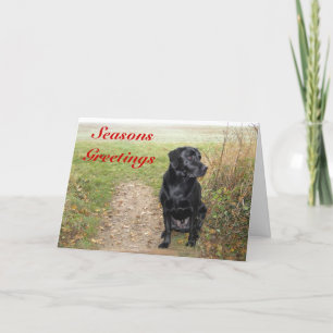Seasons Greetings — Black Lab Holiday Card