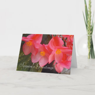 Season's Greetings Card