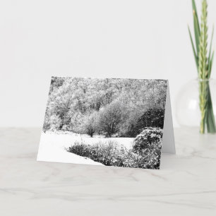 Seasons Greetings Card