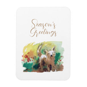 Seasons greetings Card Magnet
