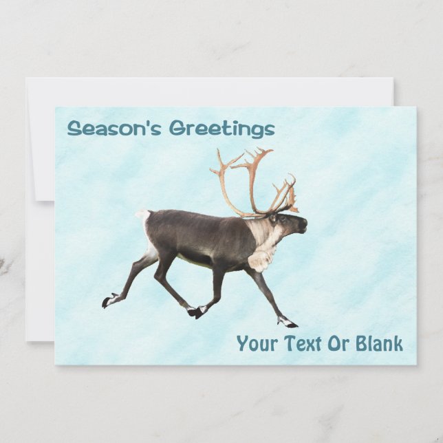 Season's Greetings - Caribou (Reindeer) On Snow (Front)