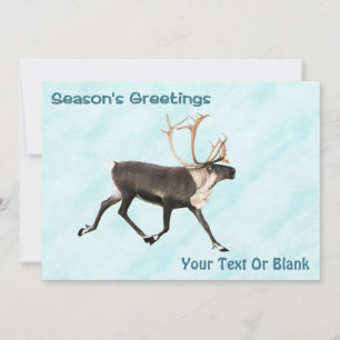 Season's Greetings - Caribou (Reindeer) On Snow