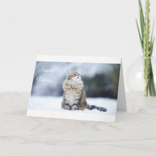Seasons Greetings Christmas Card Cat