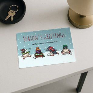 Season's Greetings Christmas Penguin Cartoon Holid Holiday Postcard