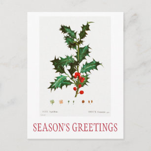 SEASON'S GREETINGS CHRISTMAS POSTCARD