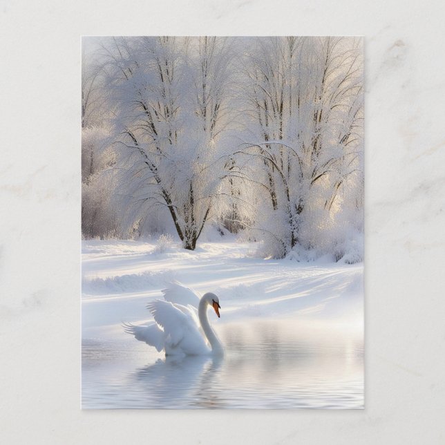 Season's Greetings Christmas Swan in the Snow Holiday Postcard (Front)