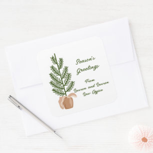 Season's Greetings Christmas Tree Square Sticker