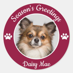 Season's Greetings Cute Dog Photo with Name Paws Classic Round Sticker