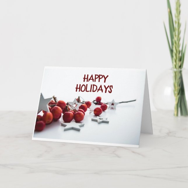 *SEASONS GREETINGS* FOR ANYONE THIS YEAR! HOLIDAY  (Front)