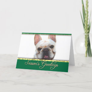 Season's greetings French bulldog greeting card