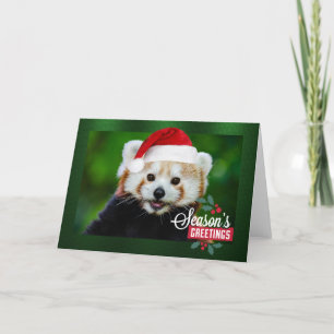 Season's Greetings from Red Panda Holiday Card