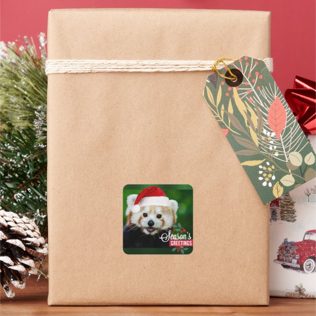 Seasons Greetings from Red Panda Square Sticker (Holiday)