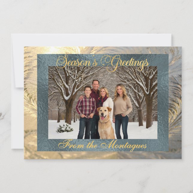 Season's Greetings Frost Border with Photo Holiday Card (Front)