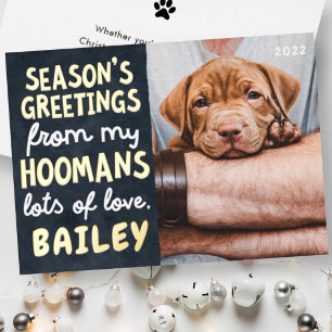 Season's Greetings Funny Modern Pet Custom Photo Foil Holiday Card