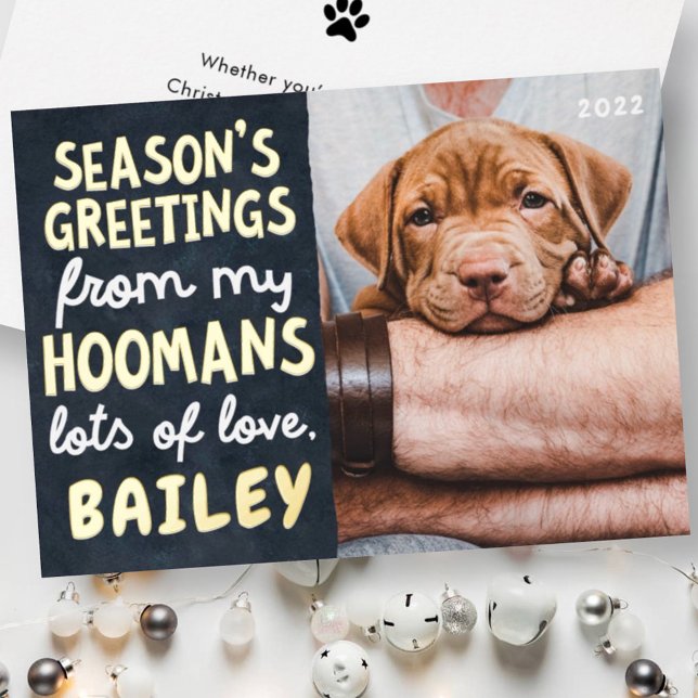 Season's Greetings Funny Modern Pet Custom Photo Foil Holiday Card (Creator Uploaded)