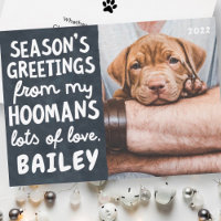 Season's Greetings Funny Modern Pet Custom Photo