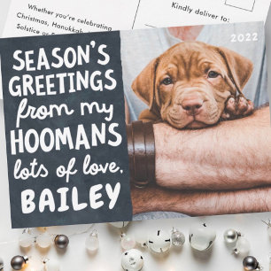 Season's Greetings Funny Modern Pet Custom Photo Holiday Postcard