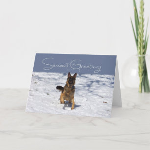 Seasons Greetings German Shepherd in the Snow Card