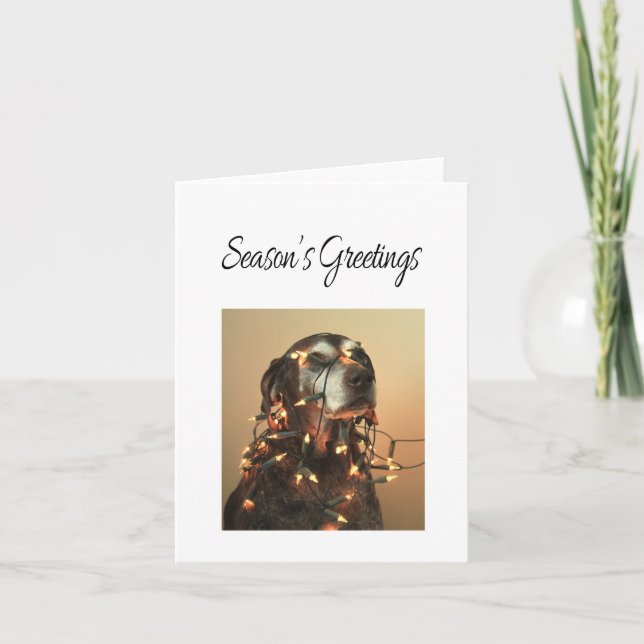 Season's Greetings german shorthaired pointer Holiday Card (Front)