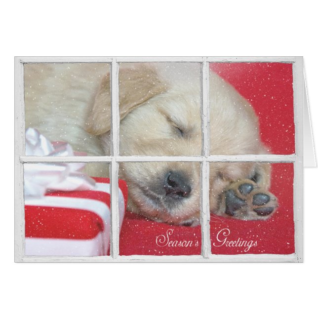 Season's Greetings-golden retriever pup (Front Horizontal)
