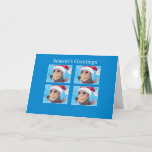 Season's Greetings, greyhound dog in a Santa hat Holiday Card