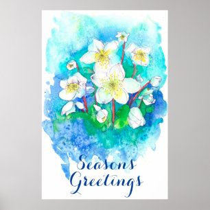 Season's Greetings Hellebore Christmas Flowers Poster