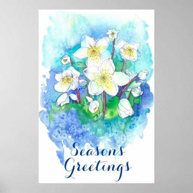 Season's Greetings Hellebore Christmas Flowers Poster (Front)