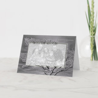 Season's Greetings Holiday Card