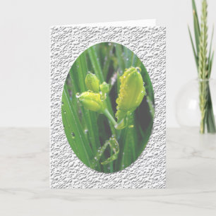 Seasons greetings holiday card