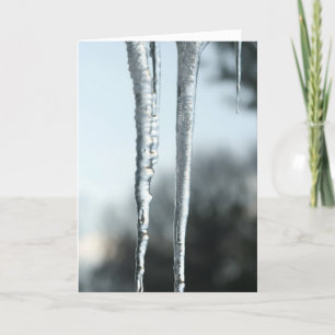 Seasons Greetings Holiday Card