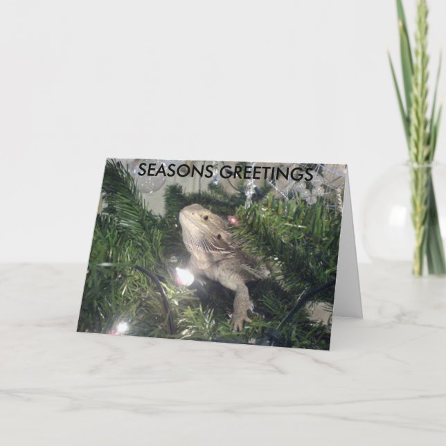 SEASONS GREETINGS HOLIDAY CARD (Front)