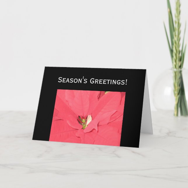 Season's Greetings Holiday Card (Front)