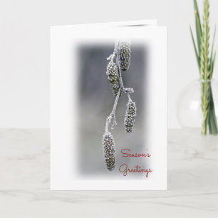Season's Greetings Holiday Card