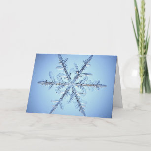 Seasons Greetings Holiday Card