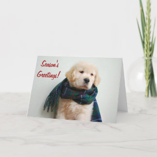 Season's Greetings Holiday Card