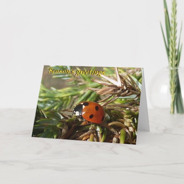 Season's greetings holiday card (Front)