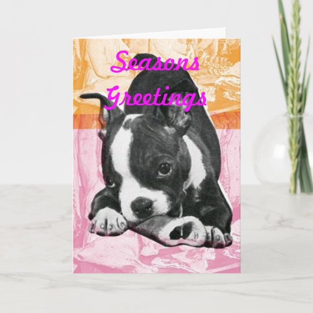 Seasons Greetings Holiday Cards (Front)