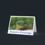 Season's Greetings Holiday Wildlife Cards<br><div class="desc">Season's greetings holiday greeting cards with a cute green gecko card,  photographed in Hawaii.  Matching postage is available.</div>