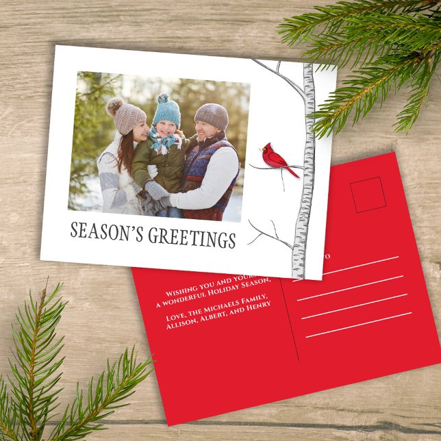 Season's Greetings Holiday Winter Red Cardinal  (Simple winter botanical red cardinal photo postcard with a minimalist design.)
