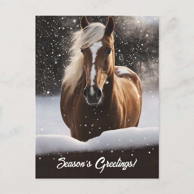 Season's Greetings Horse and Snow Holiday Postcard (Front)