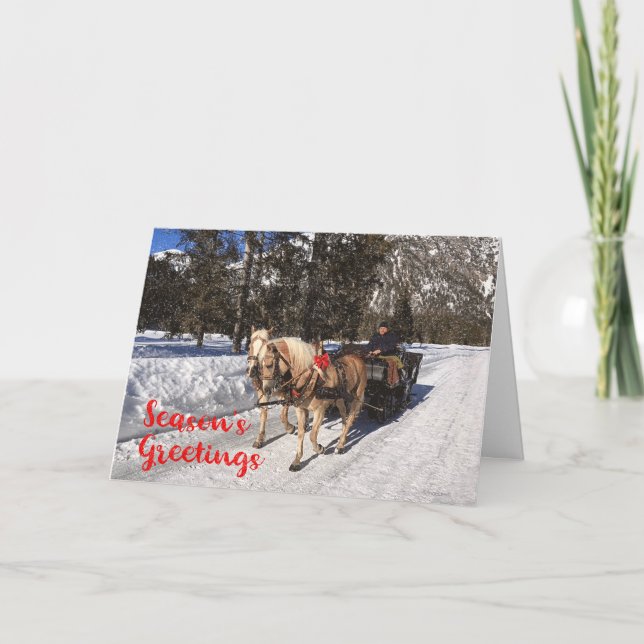 Season's Greetings Horses Sled Snowy Photo Card (Front)