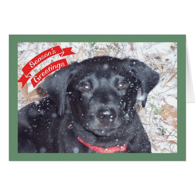 Season's Greetings - Labrador Puppy (Front Horizontal)