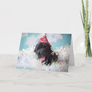 Seasons Greetings Newfie Puppy Holiday Card