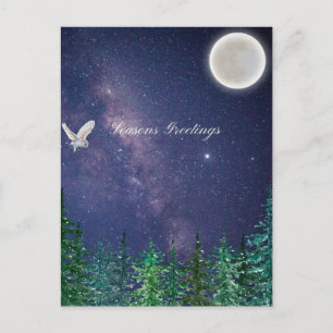Seasons Greetings - Owl moon Postcard